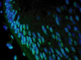 Message from the Representativeのイメージ