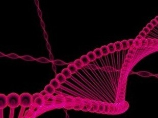 Committee 　　Members　　　　　　のイメージ